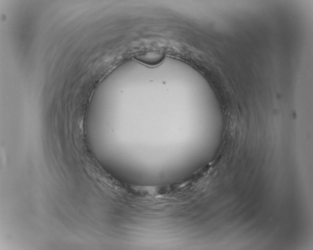 X0000053121489200508012137