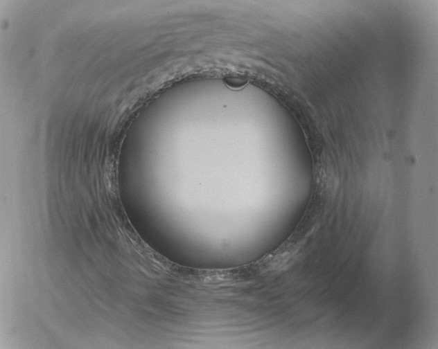 X0000053121490200508012137