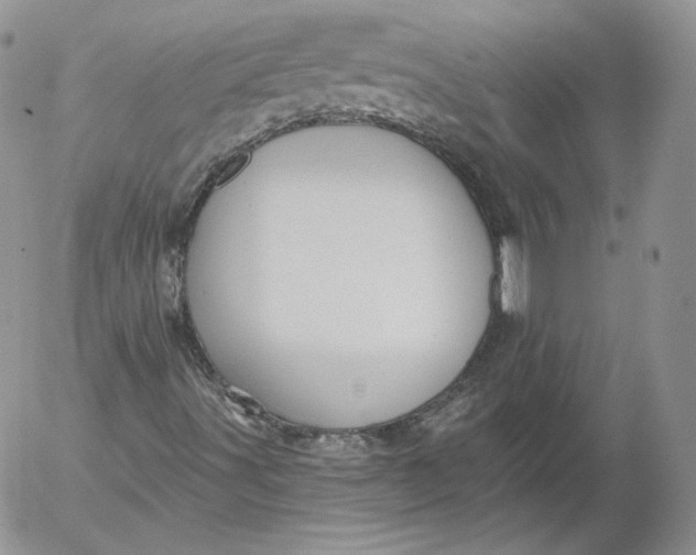 X0000053121491200508012138