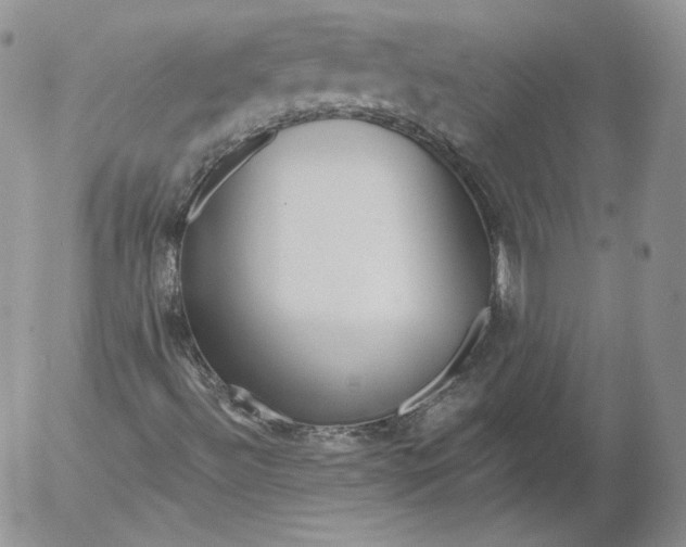 X0000053121492200508012138