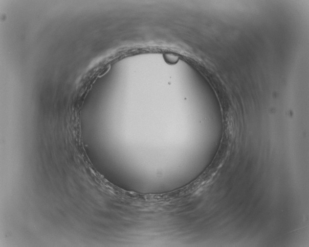 X0000053121494200508012138