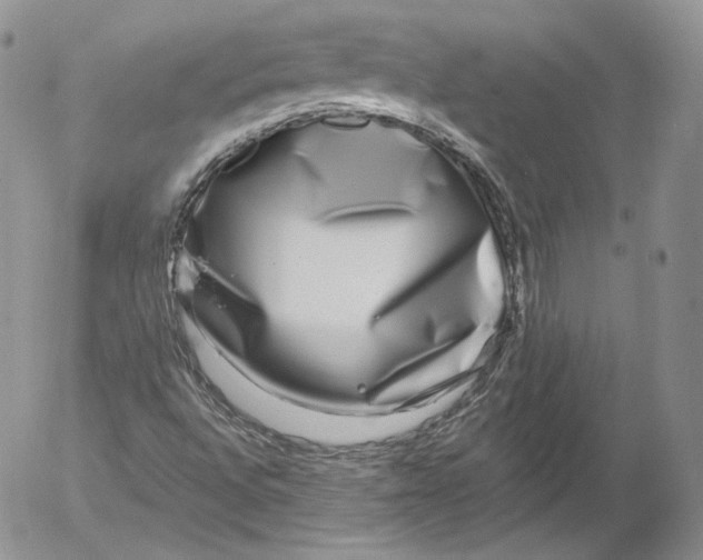 X0000053121496200508012138