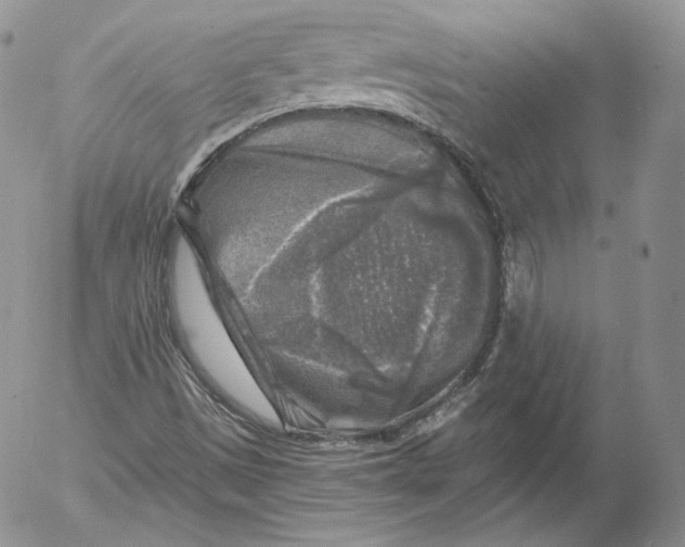 X0000053121497200508012138