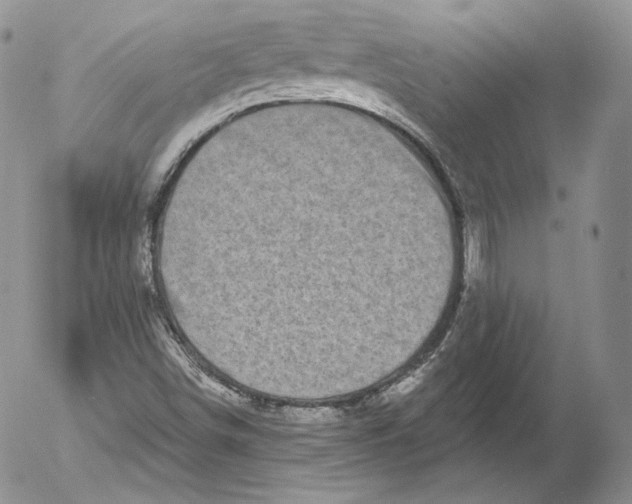 X0000053121498200508012138