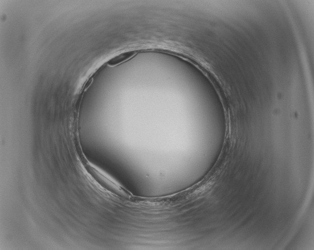 X0000053121500200508012138