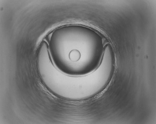 X0000053121502200508012138