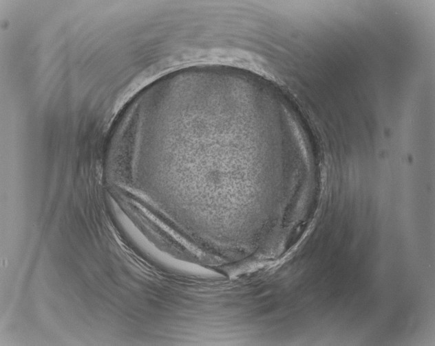 X0000053121505200508012138