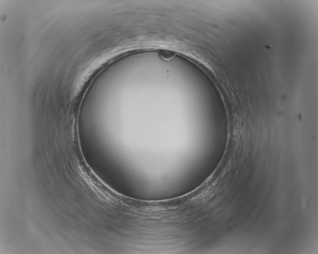 X0000053121507200508012138