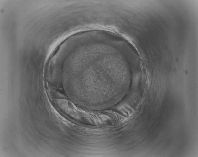 X0000053121508200508012138