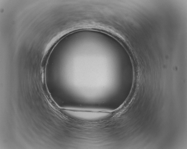 X0000053121509200508012138