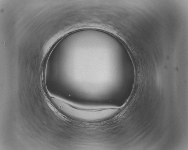 X0000053121511200508012138