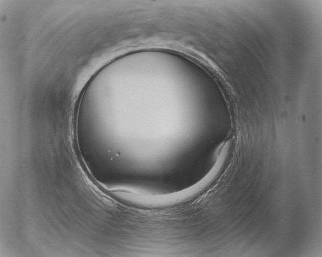 X0000053121512200508012138