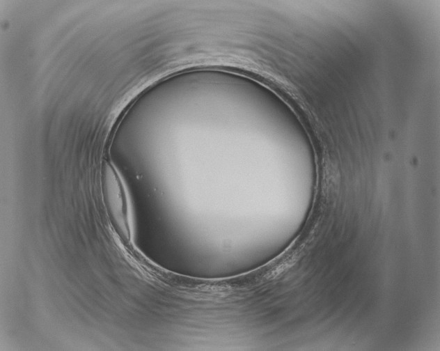 X0000053121513200508012138