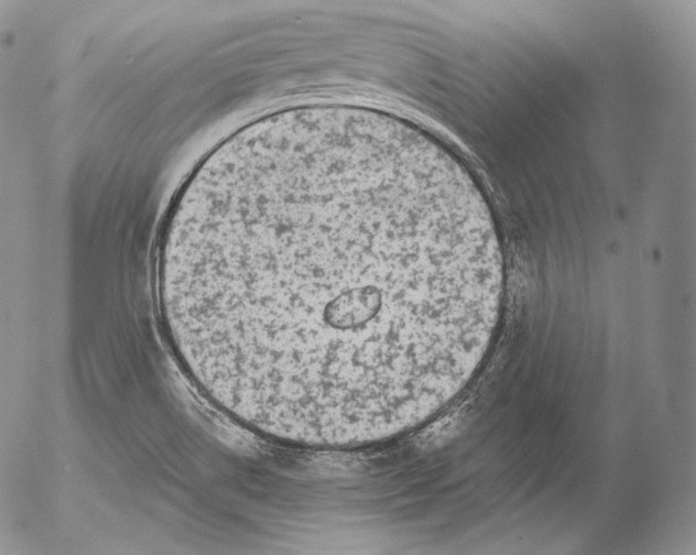 X0000053121514200508012138