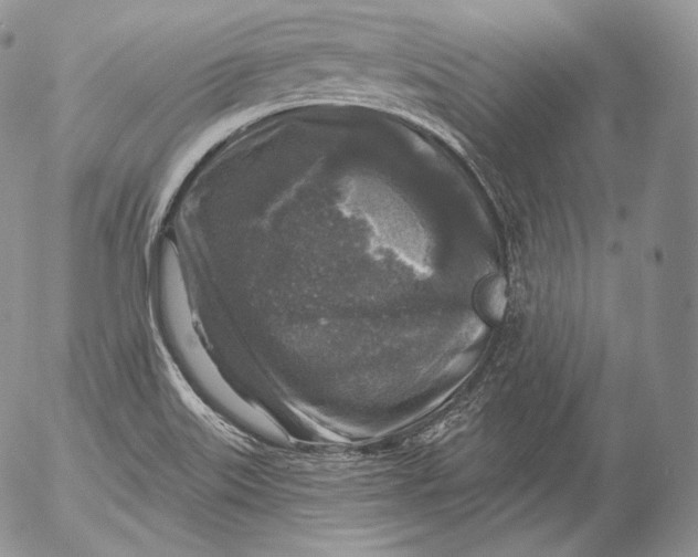 X0000053121515200508012138