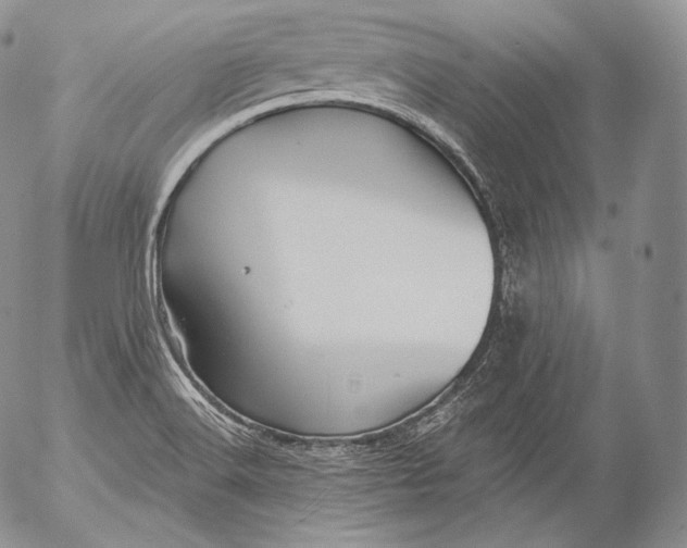 X0000053121516200508012138