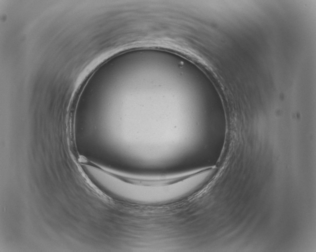 X0000053121517200508012138