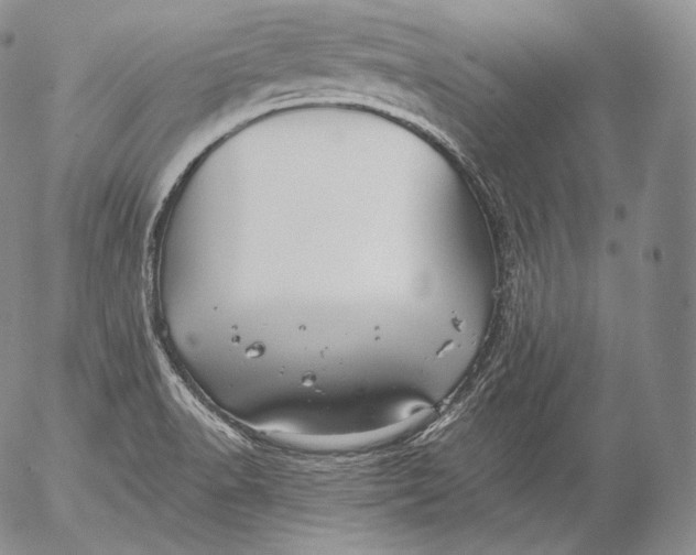 X0000053121518200508012138