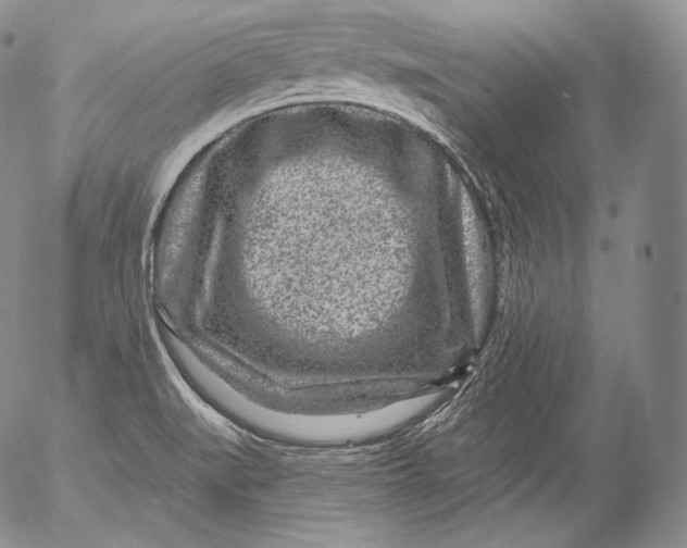 X0000053121519200508012138