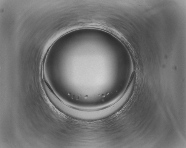 X0000053121520200508012138