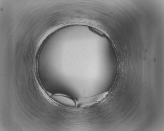 X0000053121523200508012138