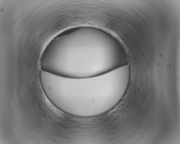 X0000053121524200508012138