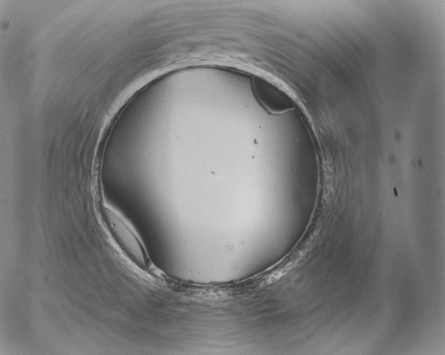 X0000053121525200508012138