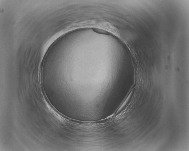 X0000053121527200508012138