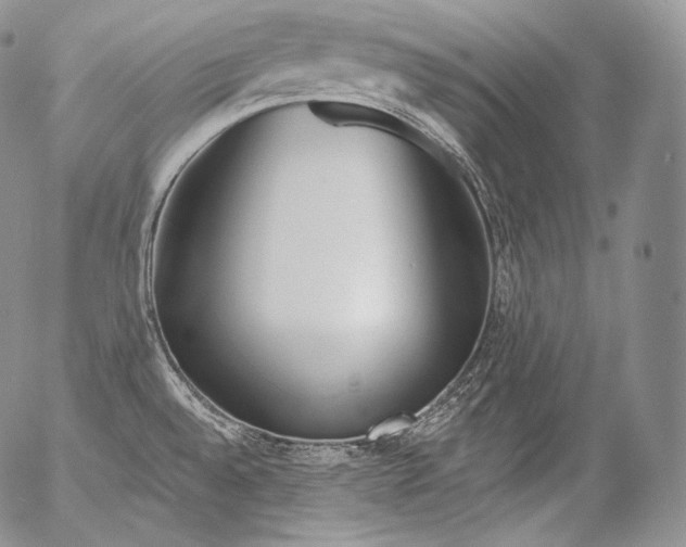 X0000053121528200508012138