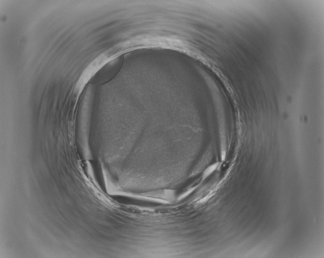 X0000053121529200508012138