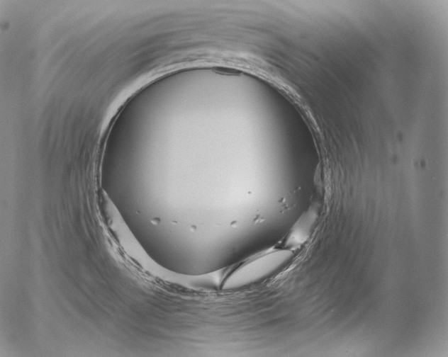 X0000053121530200508012138