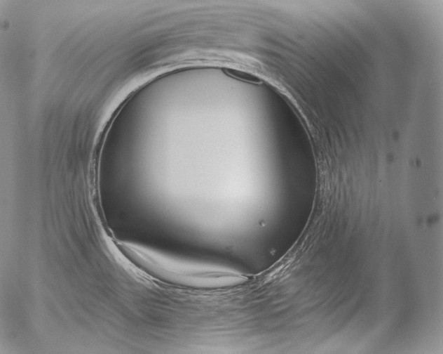 X0000053121531200508012138