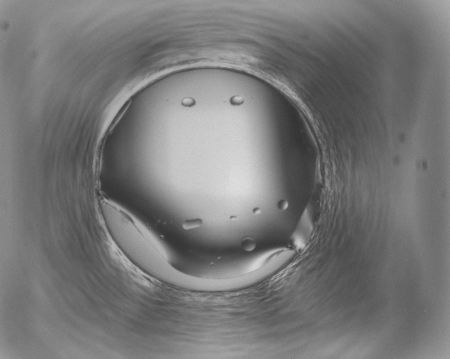 X0000053121532200508012138