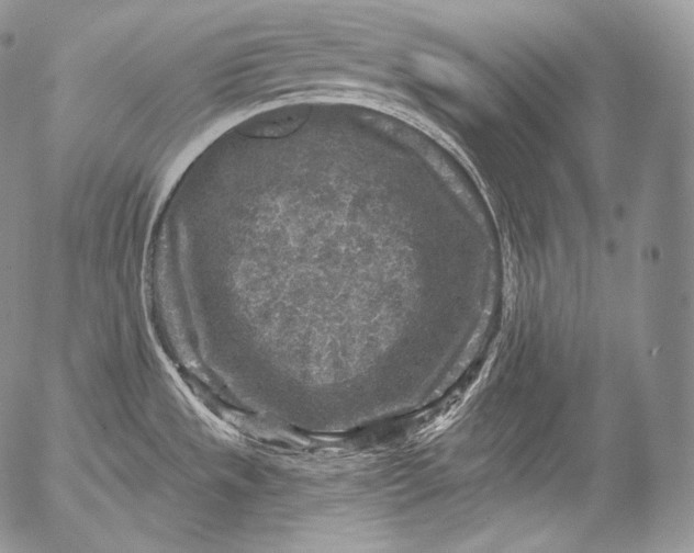 X0000053121533200508012138