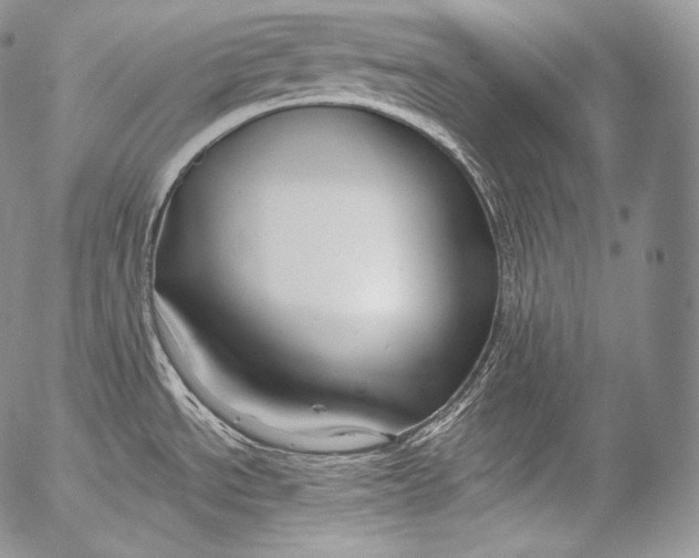 X0000053121534200508012138