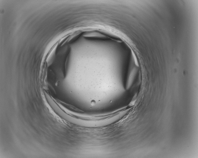 X0000053121536200508012138