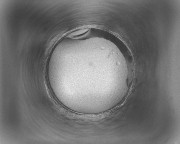 X0000053120001200508081304