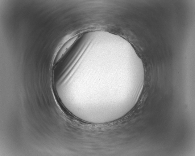 X0000053120003200508081304