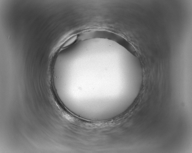 X0000053120005200508081304