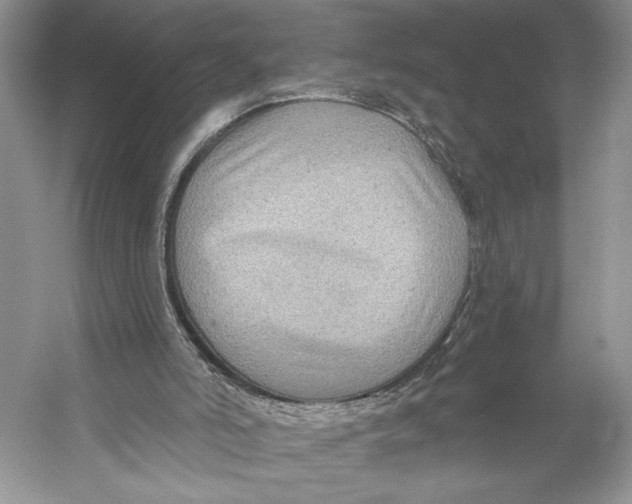 X0000053120006200508081304