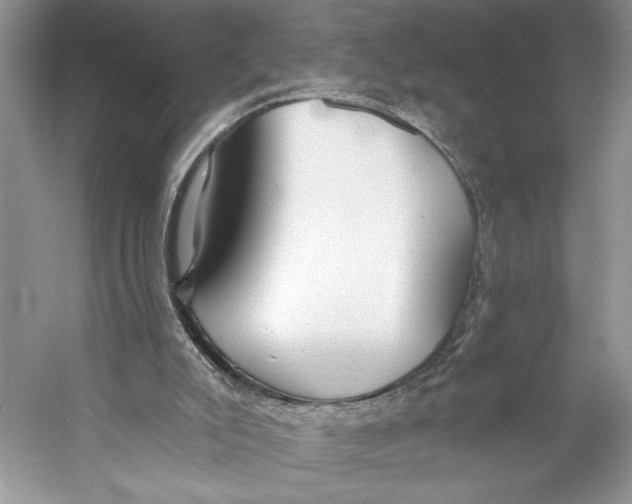 X0000053120007200508081304