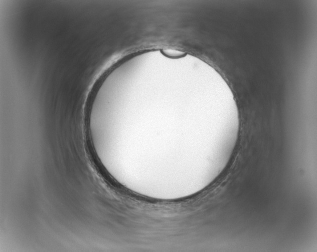 X0000053120008200508081304