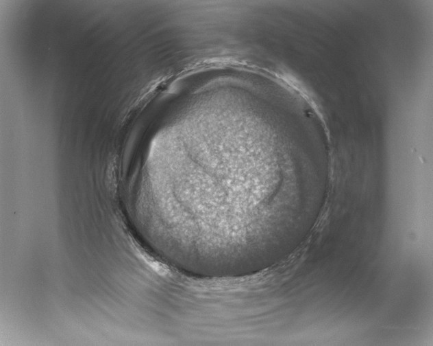 X0000053120009200508081304