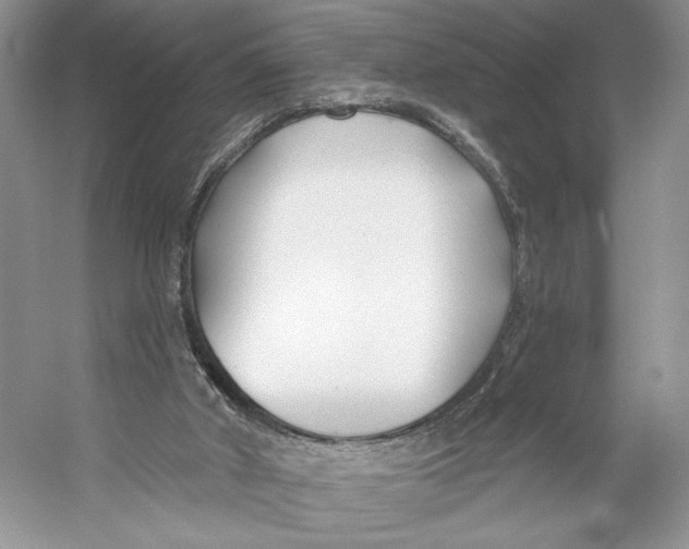 X0000053120010200508081304