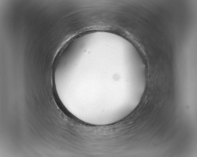 X0000053120011200508081304