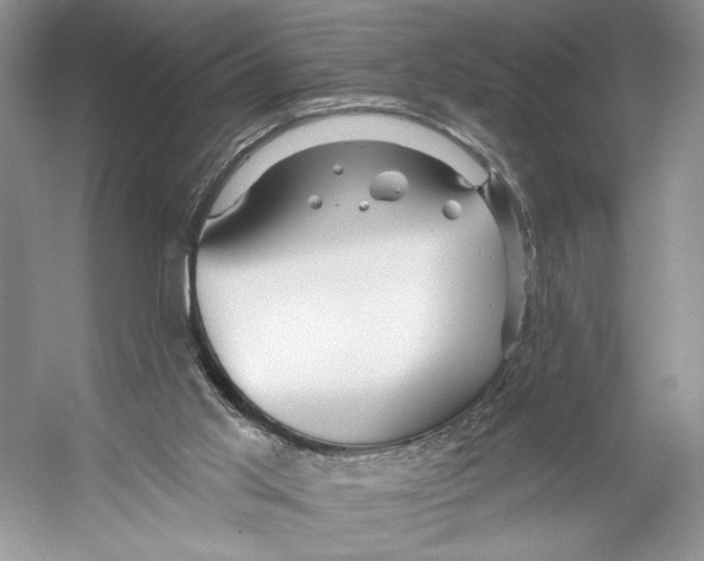 X0000053120013200508081304