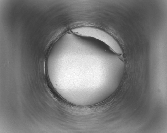 X0000053120014200508081304