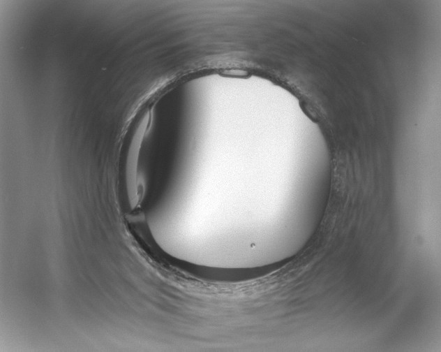 X0000053120015200508081304