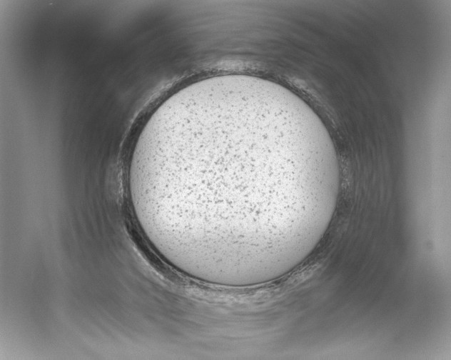 X0000053120016200508081304