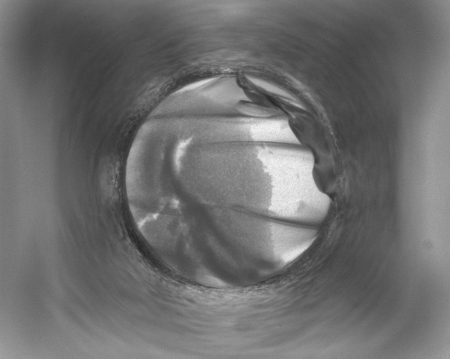 X0000053120018200508081303